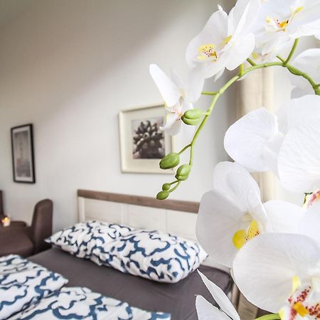 Comfortable Accommodations In The Alterlaa Area Lv6 Wien Exteriör bild