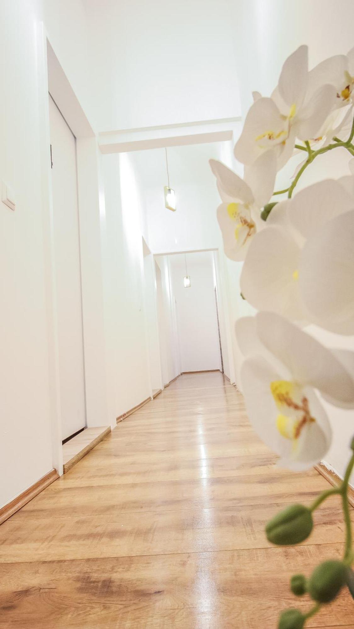 Comfortable Accommodations In The Alterlaa Area Lv6 Wien Exteriör bild