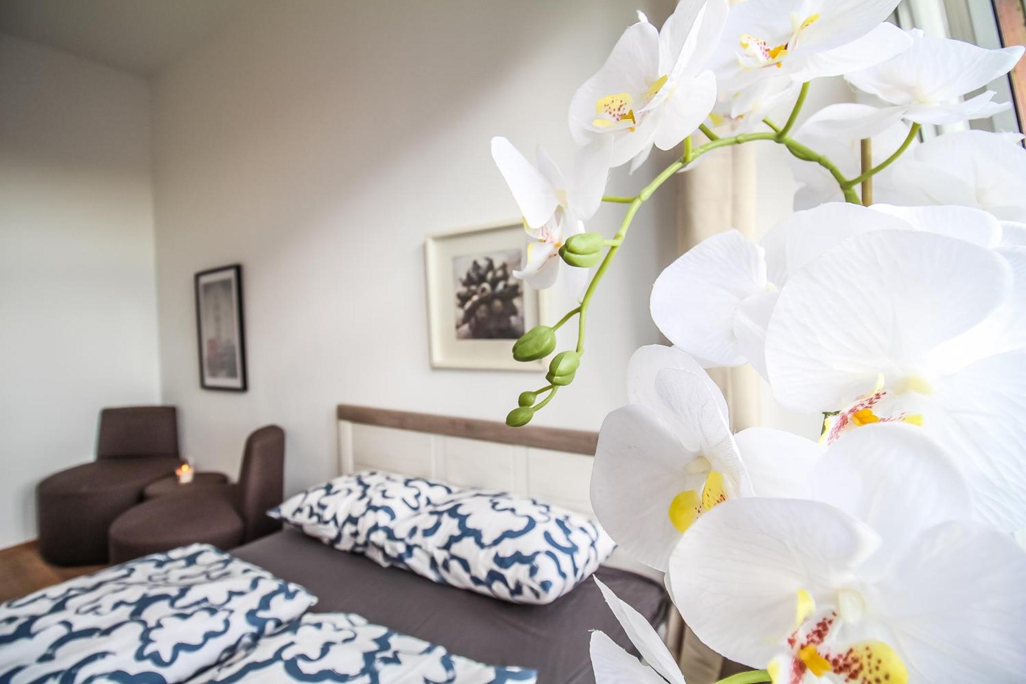 Comfortable Accommodations In The Alterlaa Area Lv6 Wien Exteriör bild